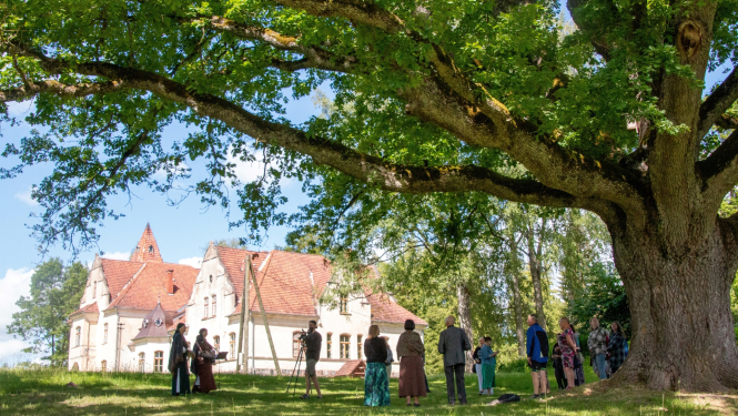 dižozolu diena pie mēru muižas