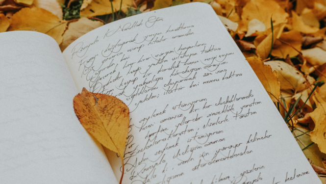 lapa-uz_dzejas_klades