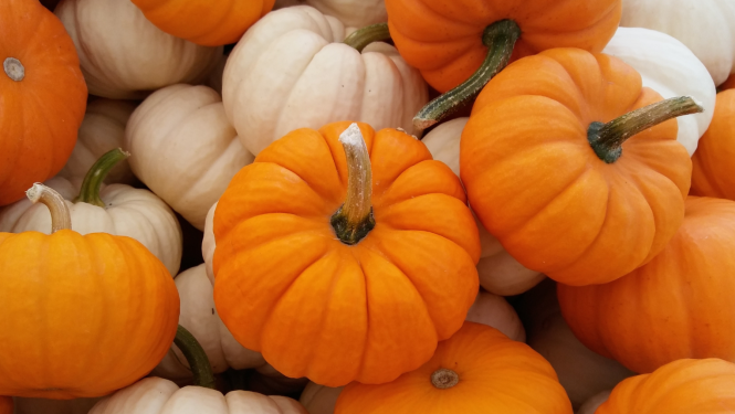 kirbji_oranzi_un_balti