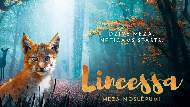 Lincessa - titulbilde