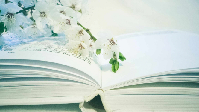 Bibliotēku nedēļa 2024