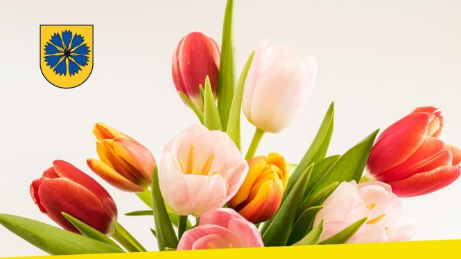 Sirsnīgi sveicam Starptautiskajā sieviešu dienā