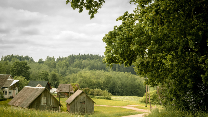 Lauku pļava ar senām mājām un zemes ceļu