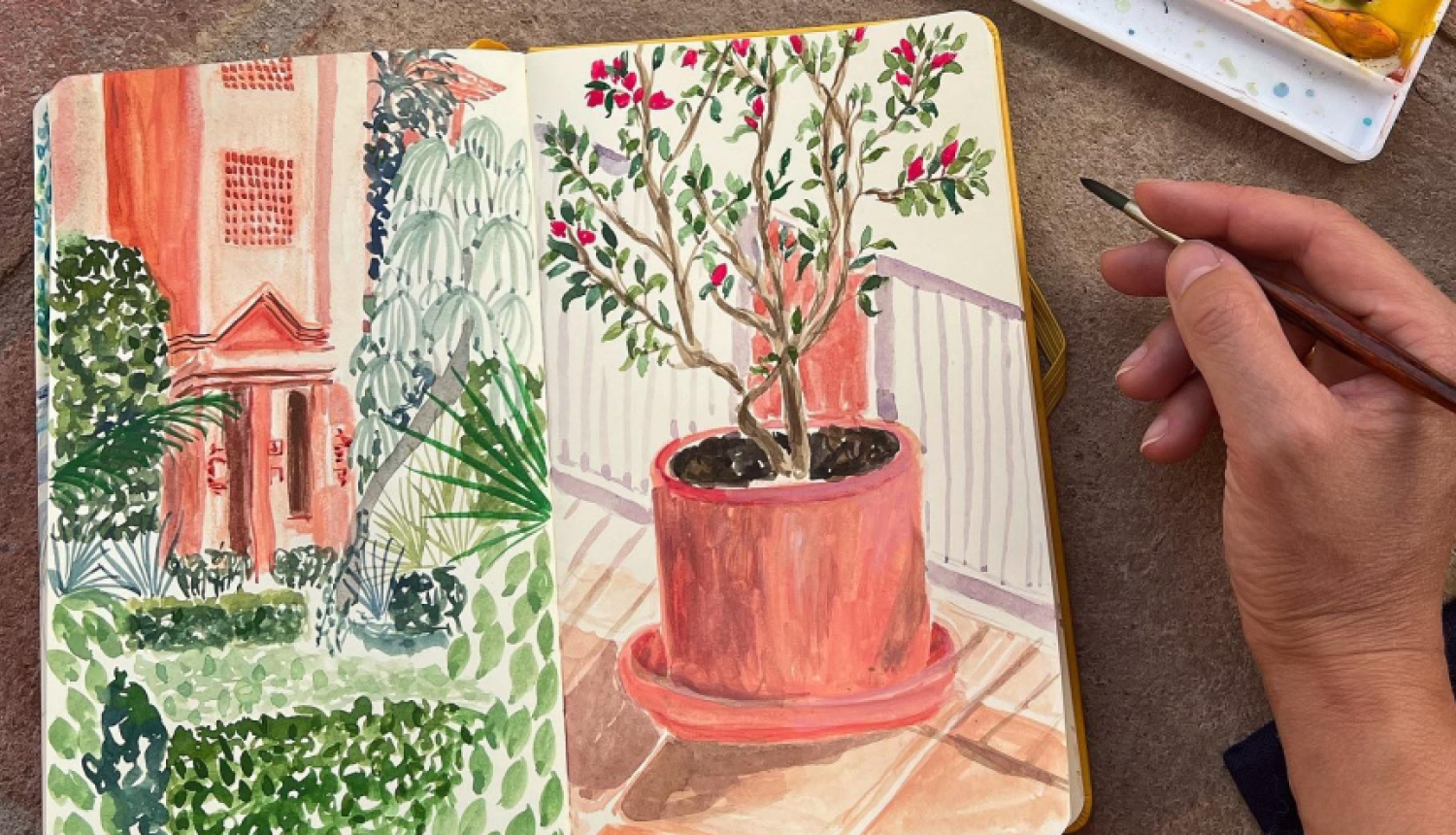 daces_kreslinas_ilustracija