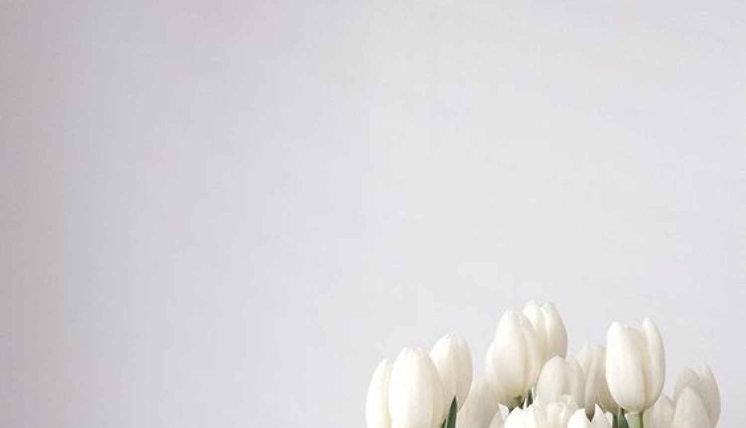 Smiltenē 8.martu atzīmēs ar īpašu sveicienu ikvienai sievietei!