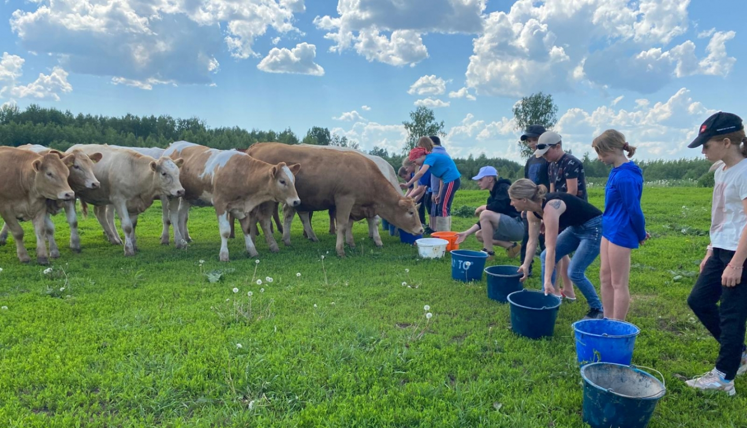 No skolas uz lauku saimniecībām