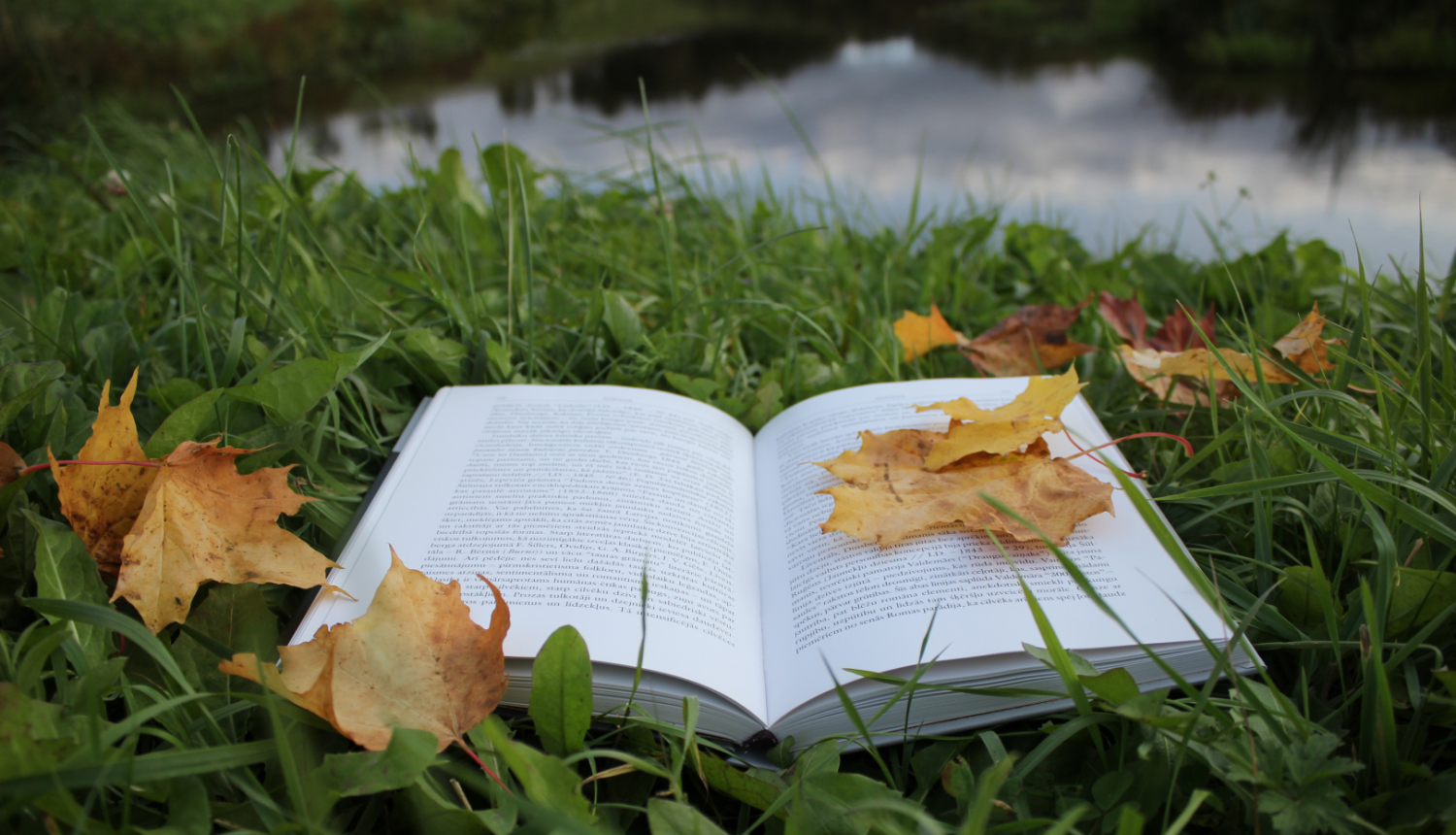 gramata_rudens_lapas