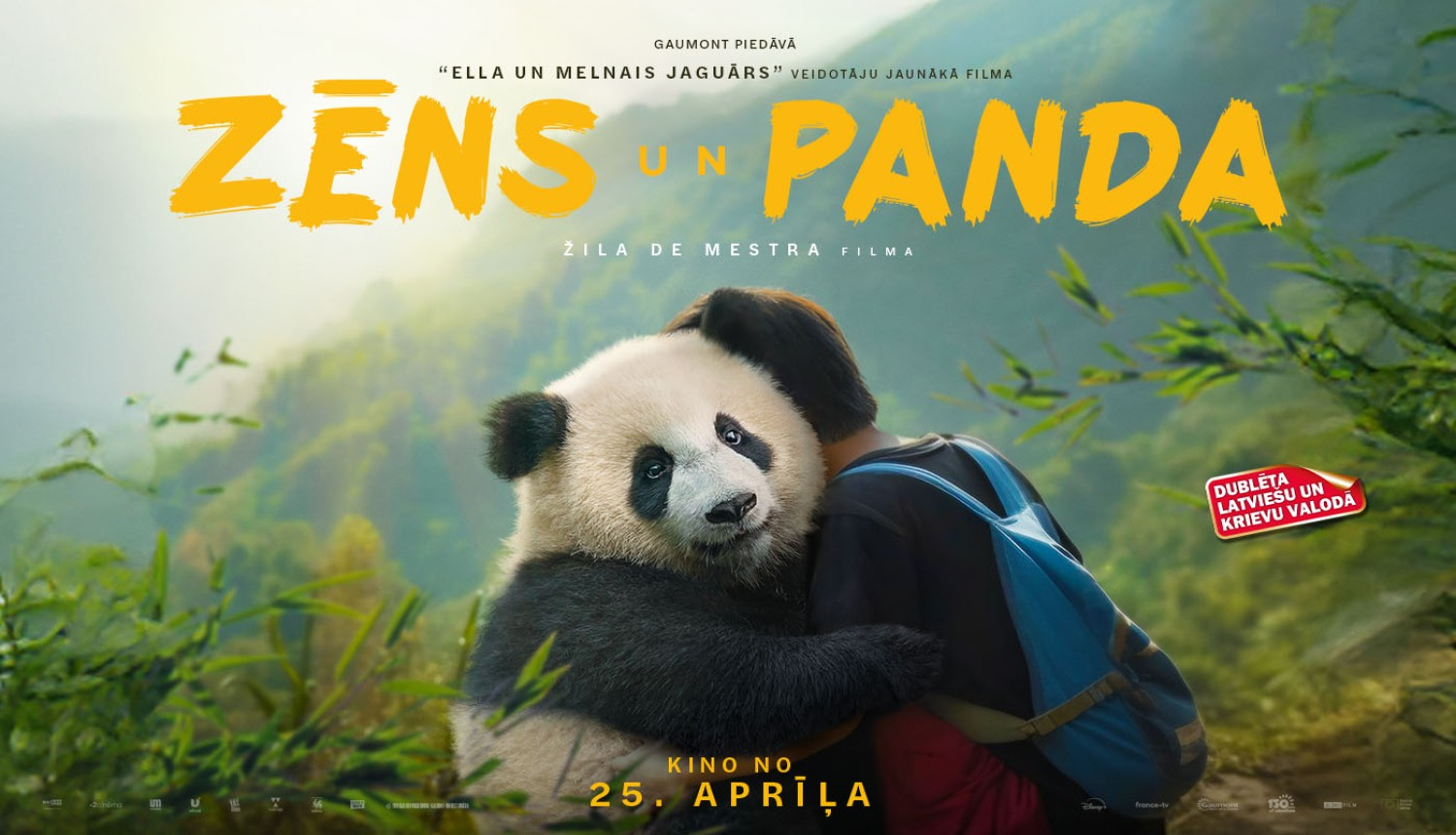 Zēns un panda - titulbilde