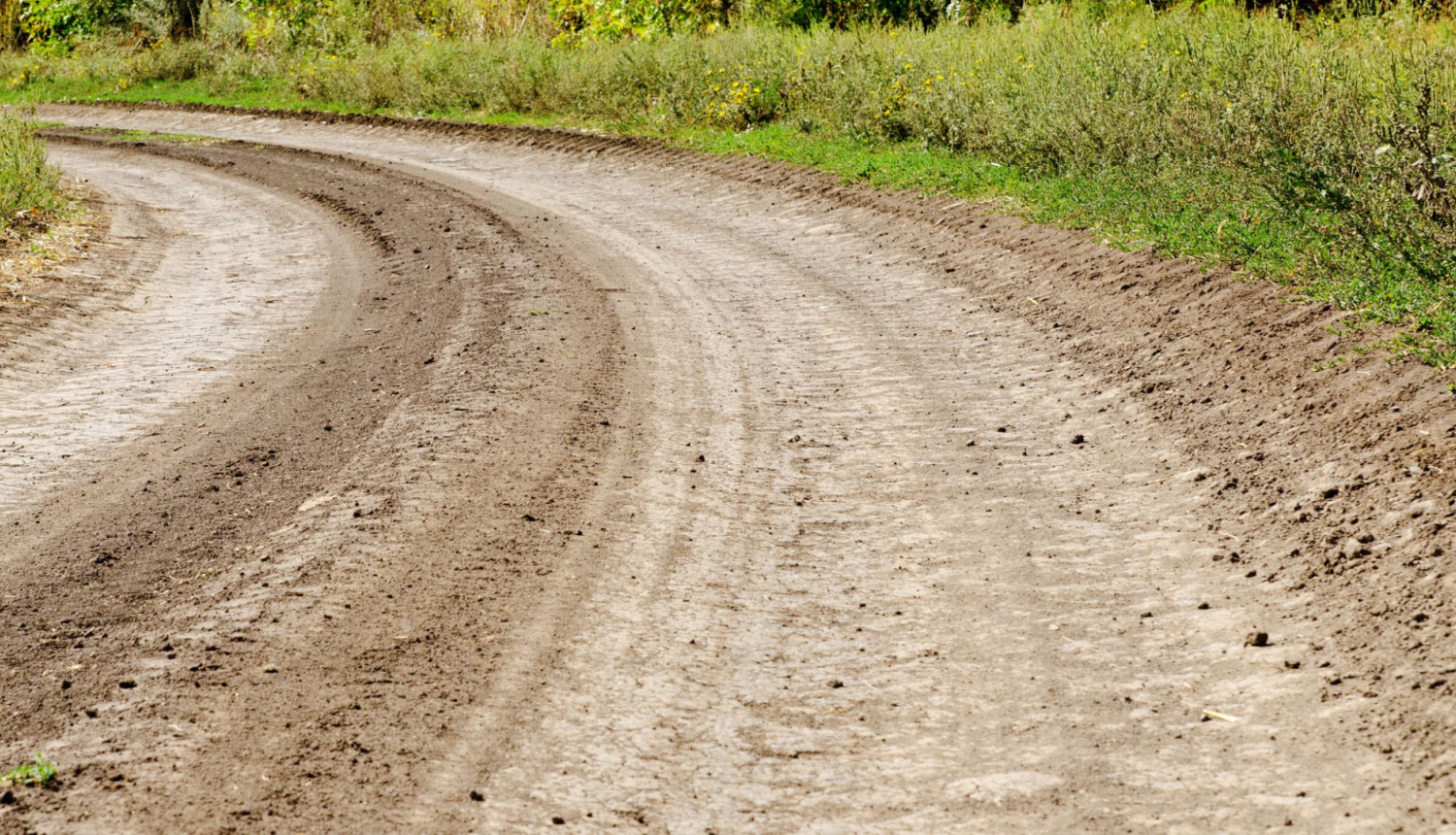 foto ar lauku zemes ceļu pavasarī vasarā