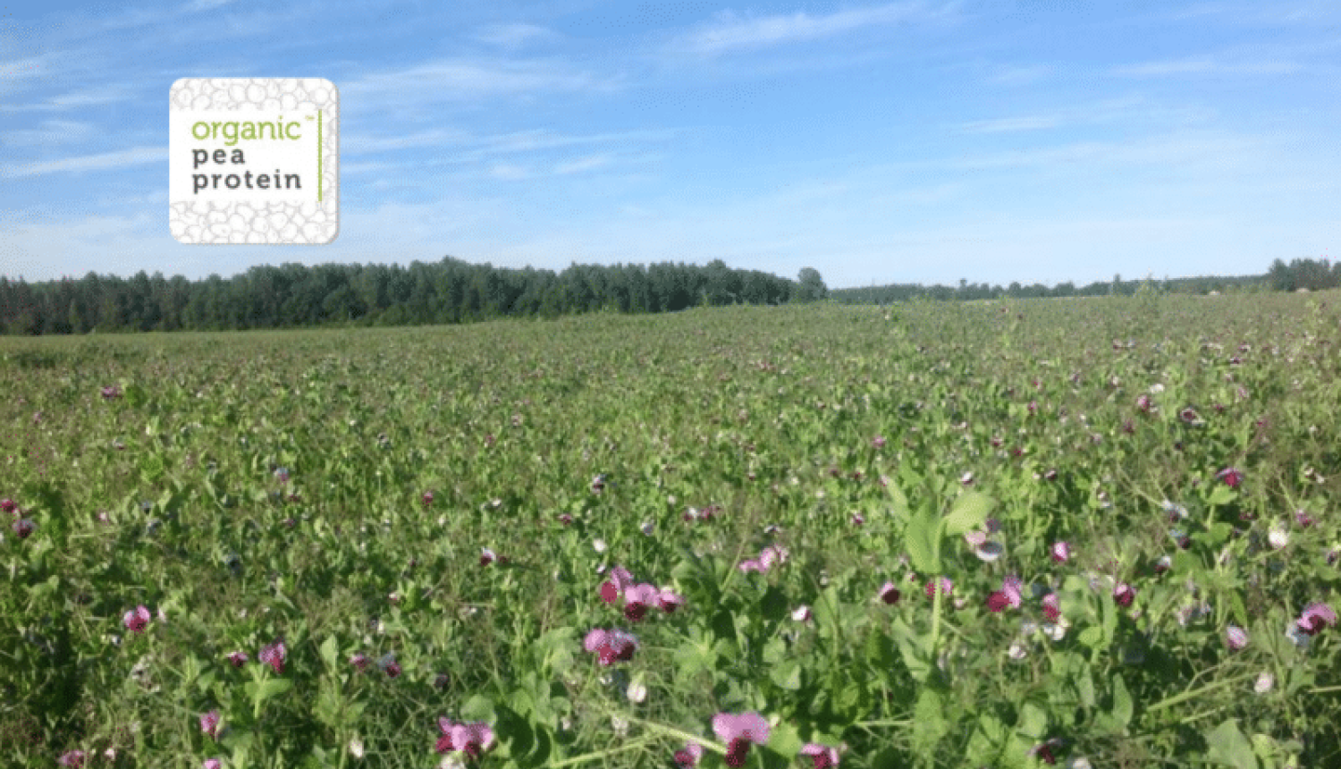 Prezentētas industriālās simbiozes un bioekonomikas biznesa modeļu labās prakses