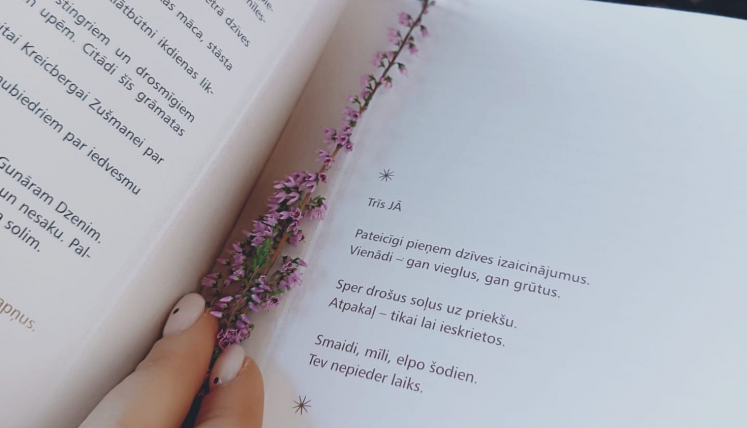 Ievas_Brantes_dzejolis