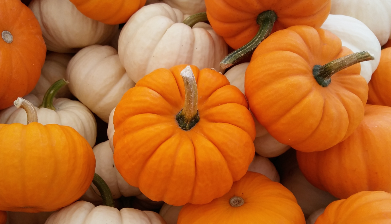 kirbji_oranzi_un_balti