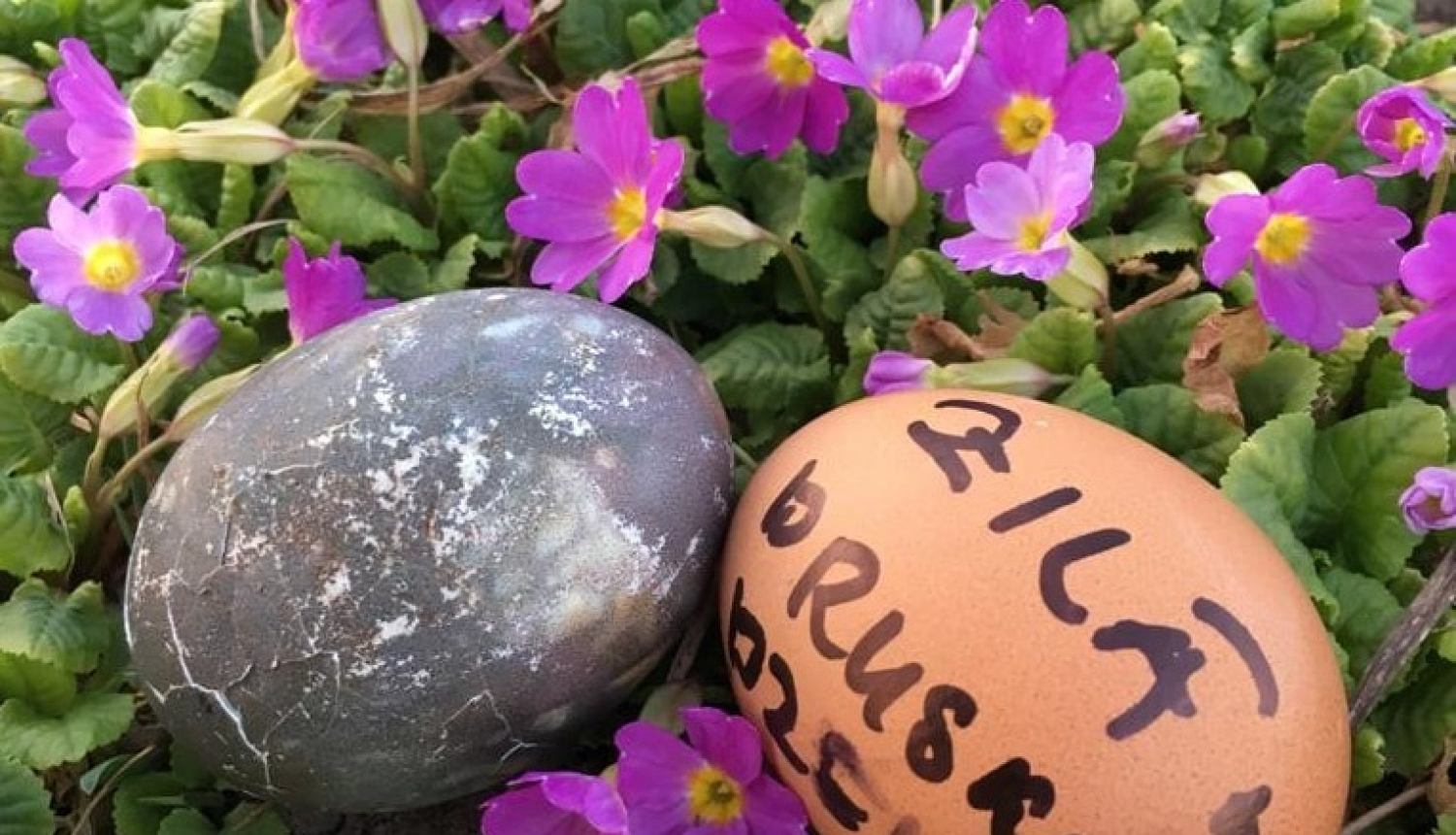 Bibliotēka aicina Lieldienu brīvdienās doties dabā