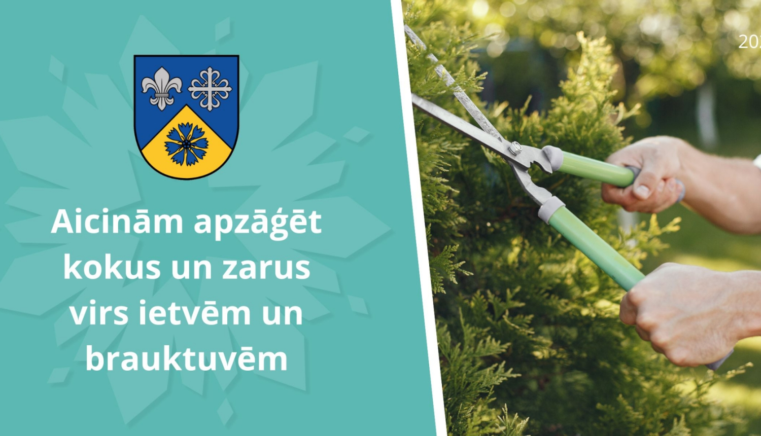 Koku_un_krumu_zagesana