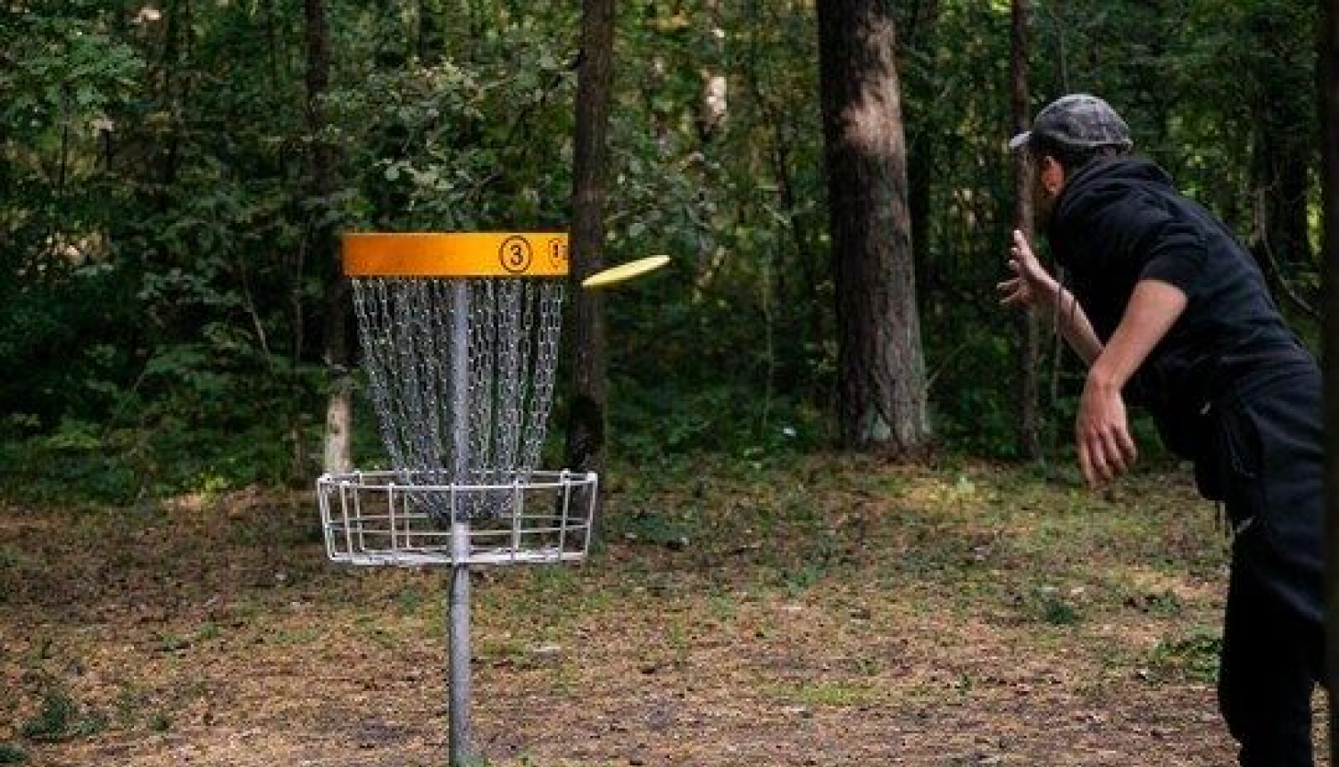 Disku golfs