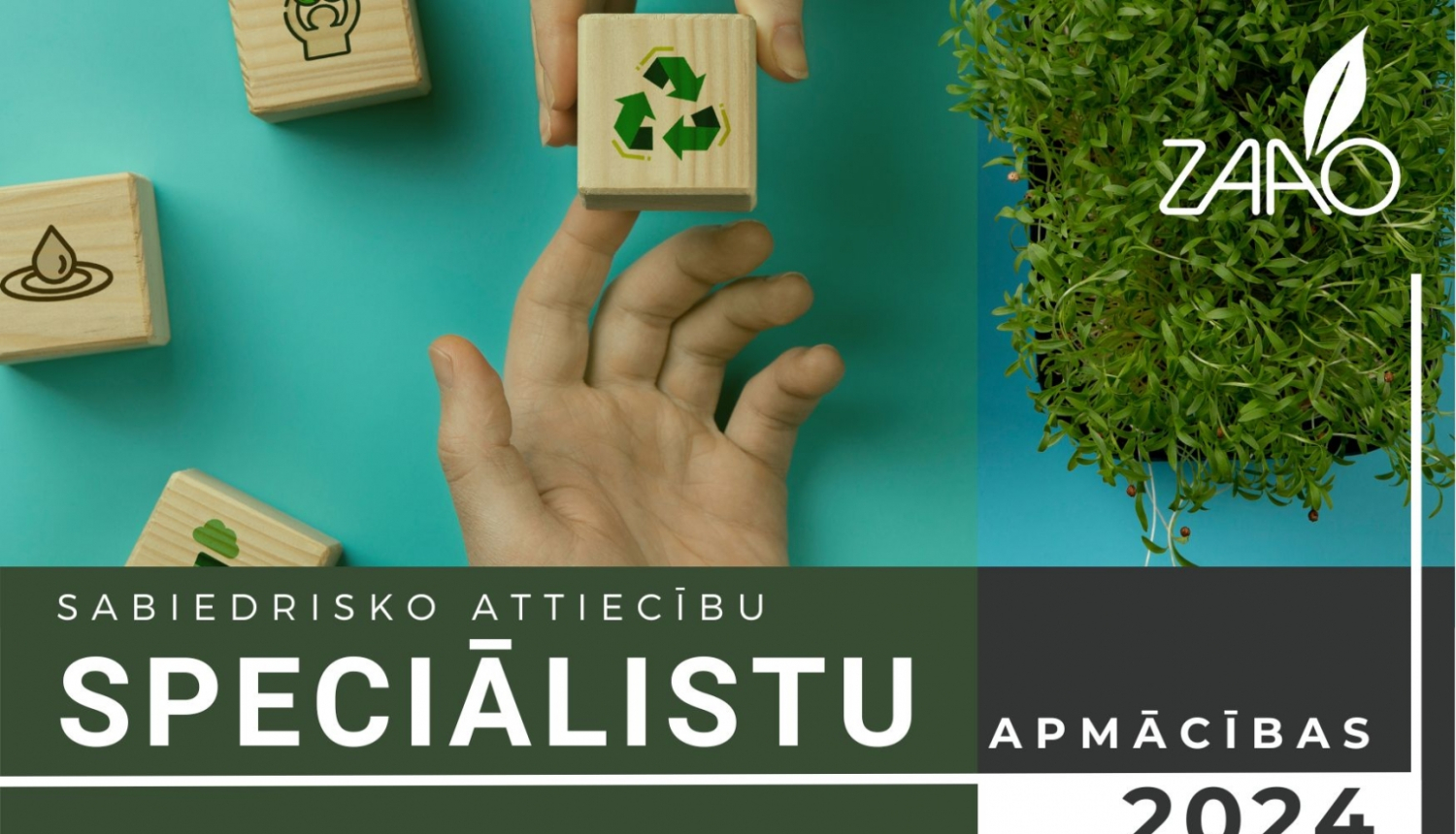 plaukstas ar koka klucīšiem, zaao logo