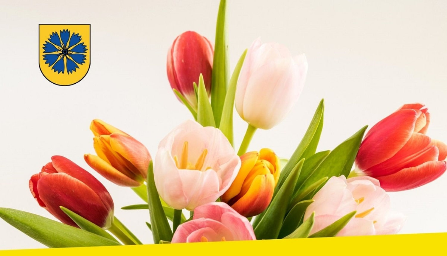 Sirsnīgi sveicam Starptautiskajā sieviešu dienā