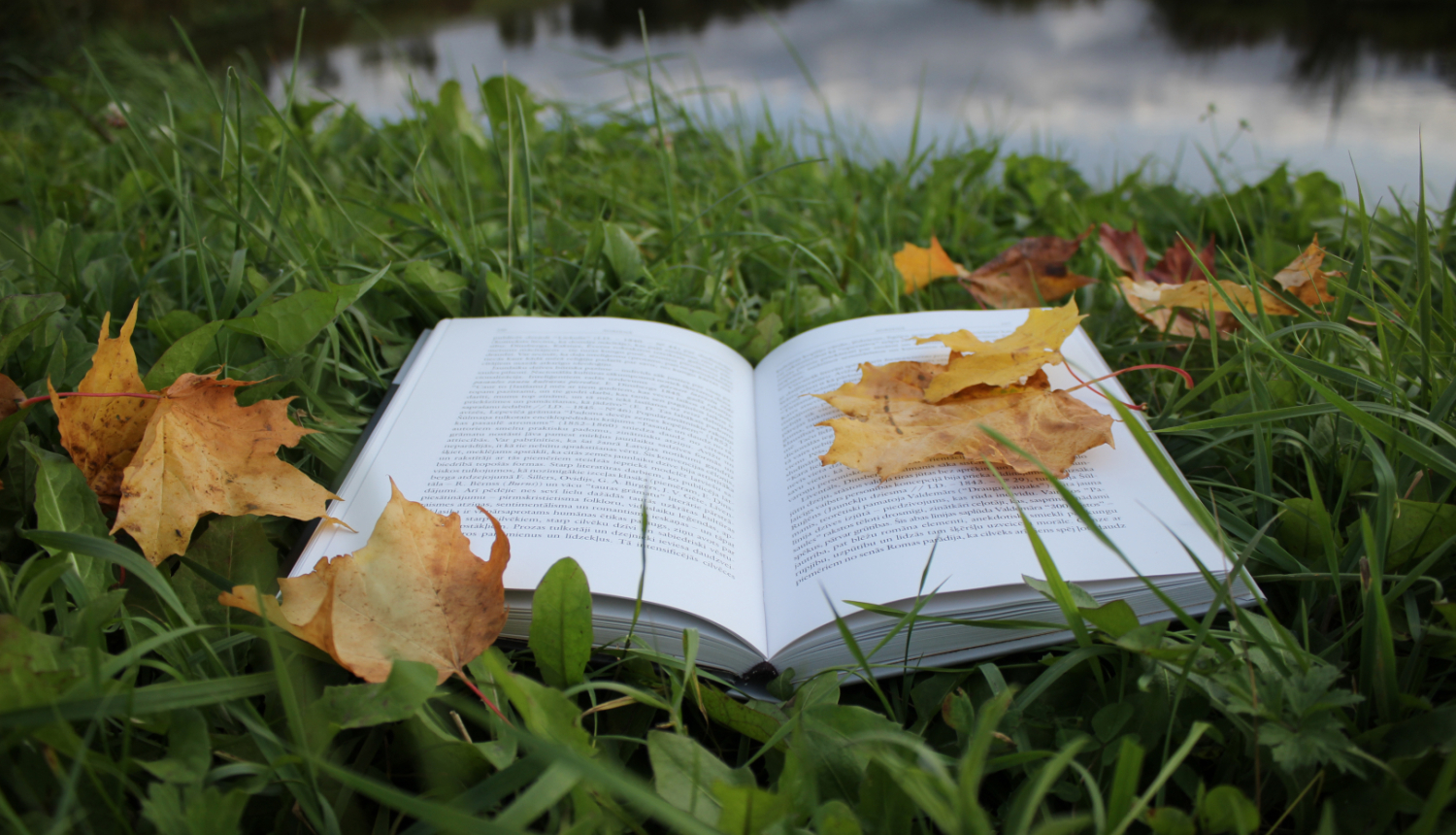 gramata_rudens_lapas