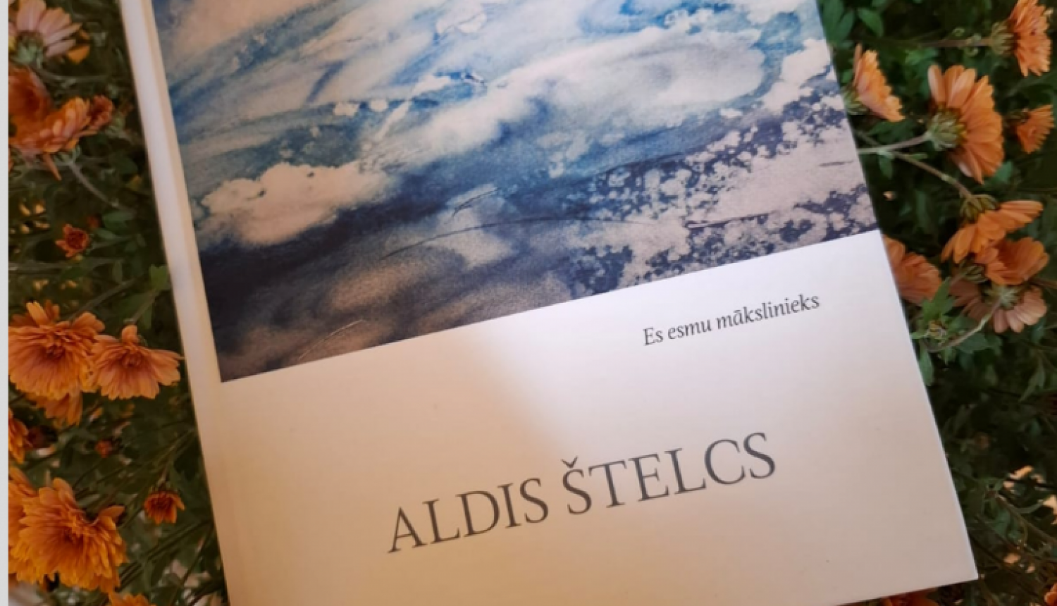 Alda_Stelca_glezna