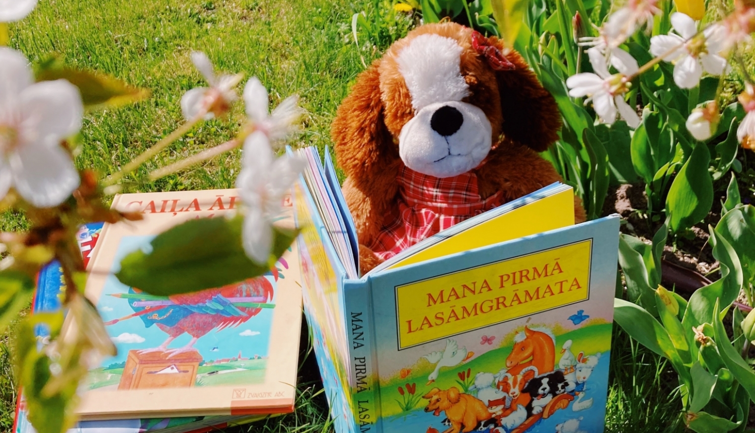 Vasara bibliotēkā