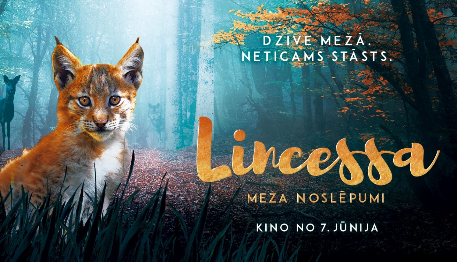 Lincessa - titulbilde