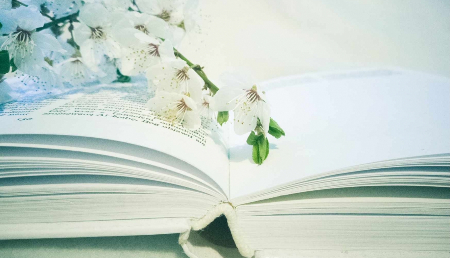 Bibliotēku nedēļa 2024