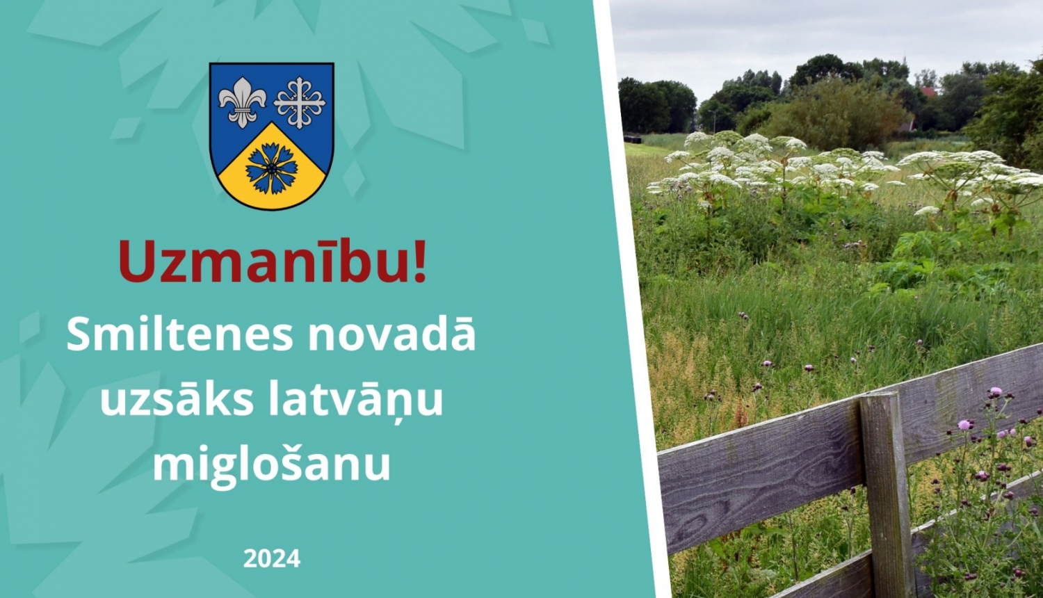 Latvanu_miglosana