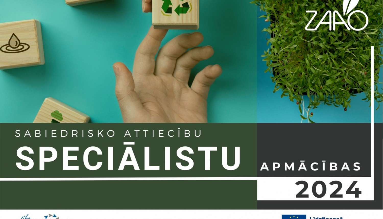 plaukstas ar koka klucīšiem, zaao logo