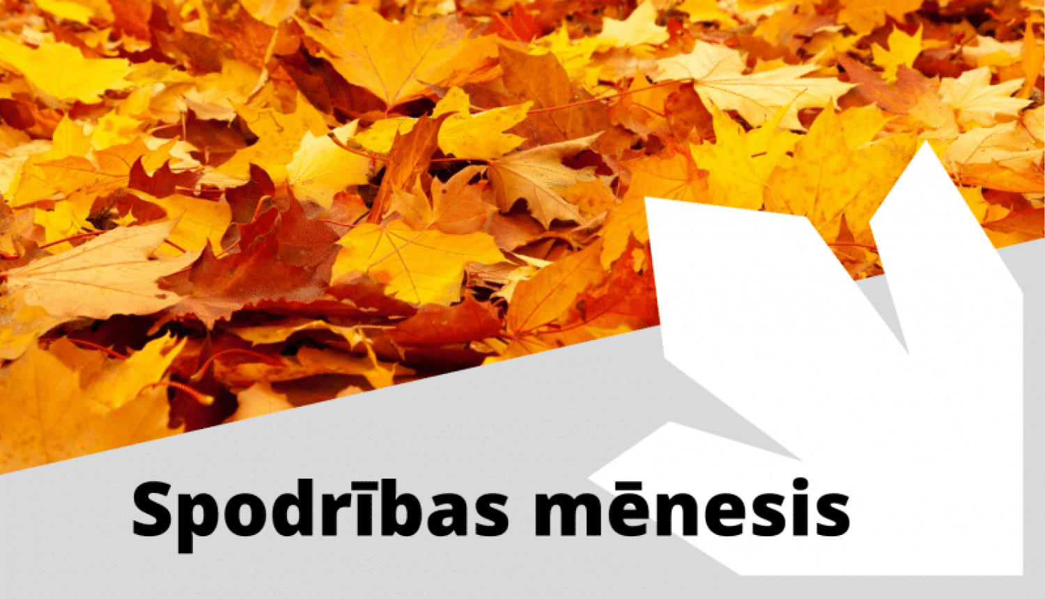 asdasddads